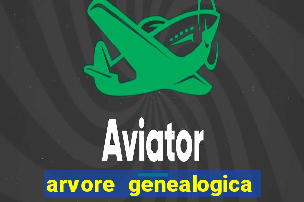 arvore genealogica dos gracie